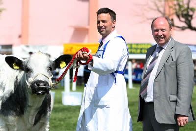 Jim Allister MEP catches up with Andrew Craig, Coleraine, owner of the Supreme Champion British Blue.